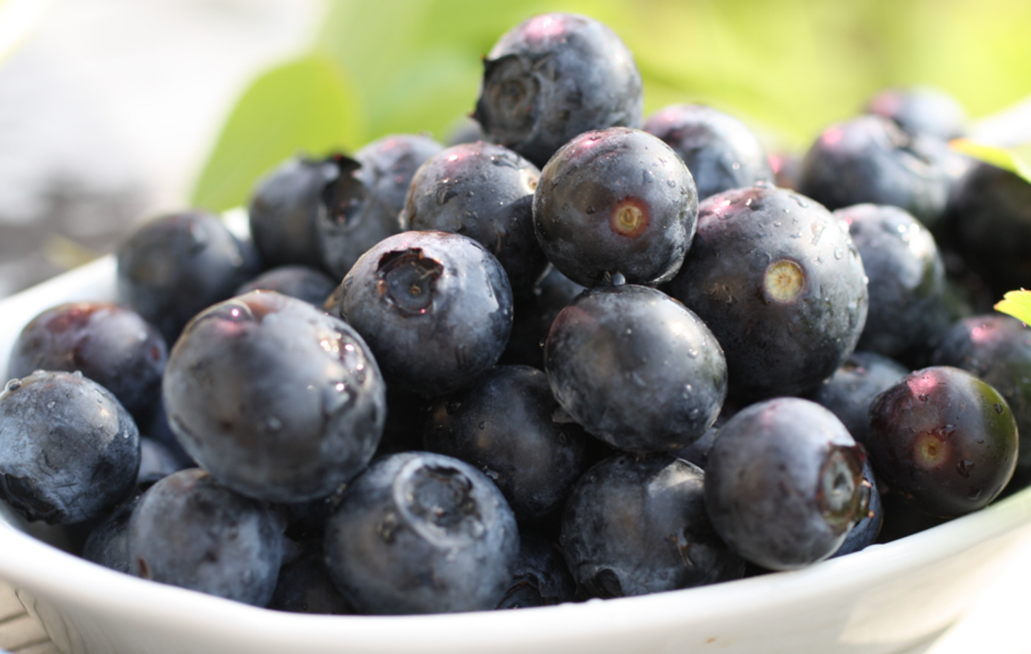 Blueberries, Fresh