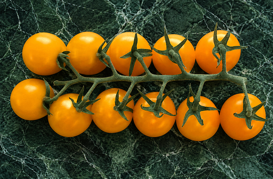 Tomatoes, Orange Bomb, Fresh