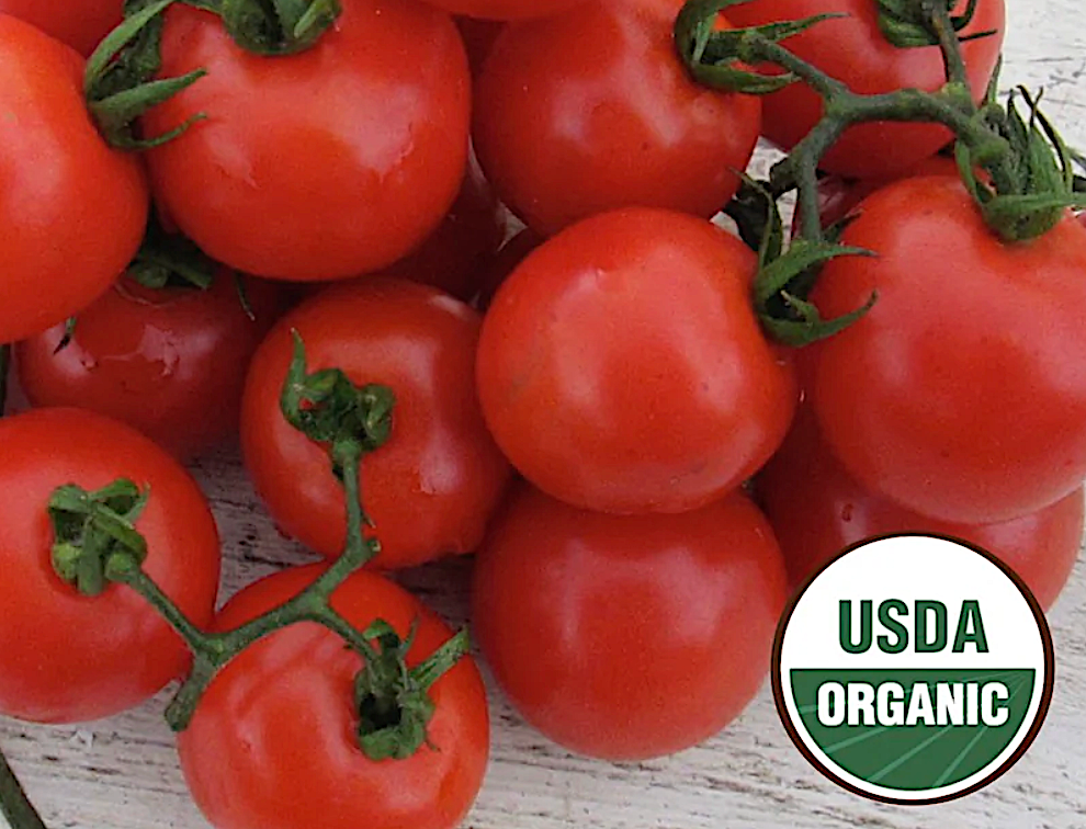 Tomatoes, Grape, Red, Organic, Fresh